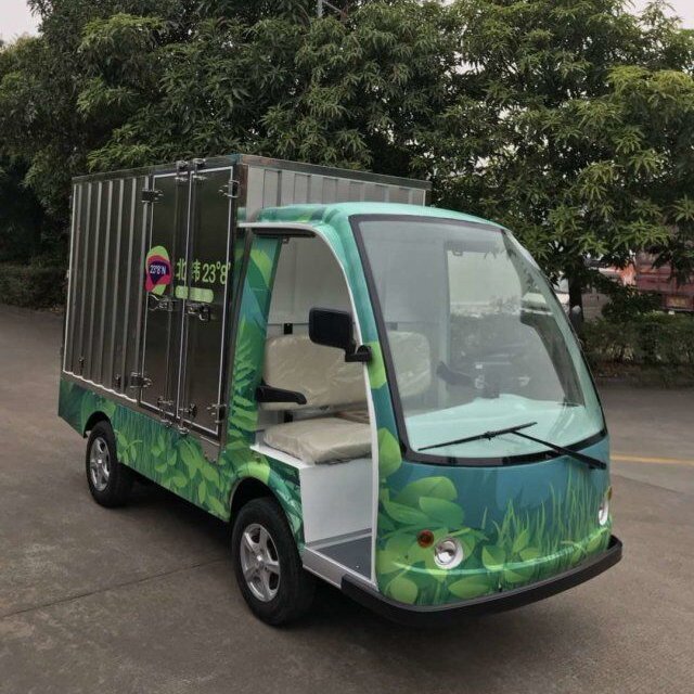 Cargo Carrier Light Duty Electric Van 2 Passenger Mini Cargo Truck